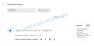 Результат проверки налоговой задолженности в ФНС